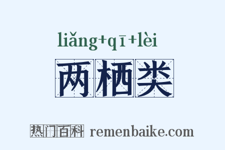 两栖类是什么意思的图片